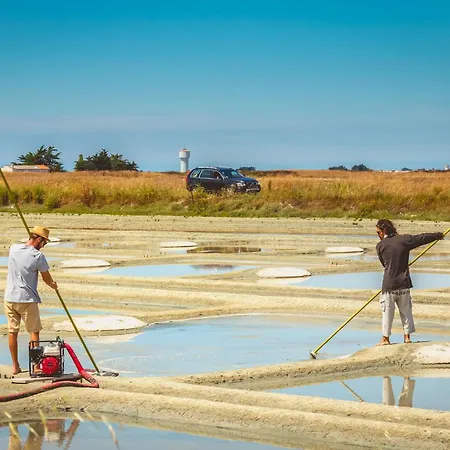 Duxcaar Merv- By Interhome *