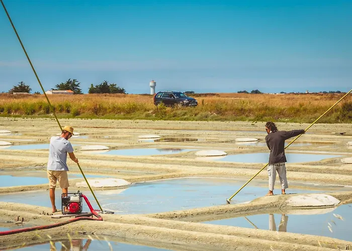 Duxcaar Merv- By Interhome *